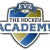 Logo Academy Zug