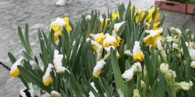 Das Wetter im April macht was er will. Aprilwetter