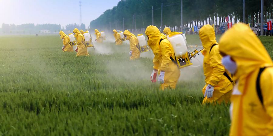 Monokulturen und Pestizide: die veränderte Landnutzung gehört mit Fischerei, Klimawandel und Verschmutzung zu den Hauptursachen für den Niedergang der Artenvielfalt.