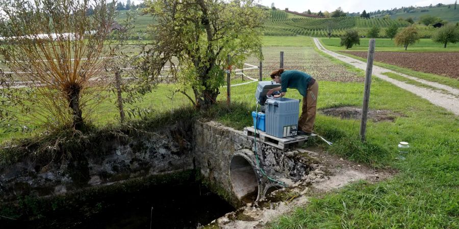 Probenahmen am Hoobach SH in einer landwirtschaftlich geprägten Region.