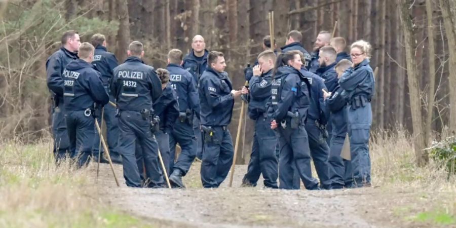 Polizisten durchsuchen Waldstück in Brandenburg