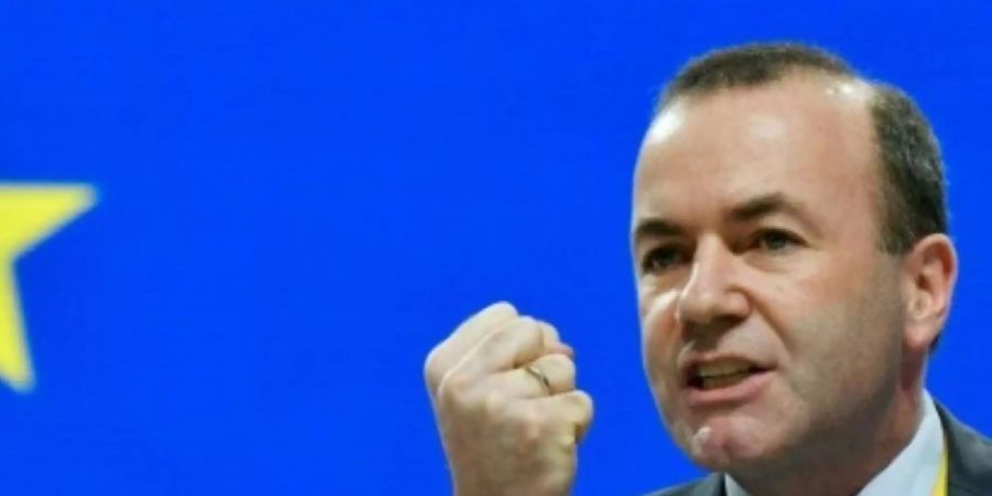 Manfred Weber