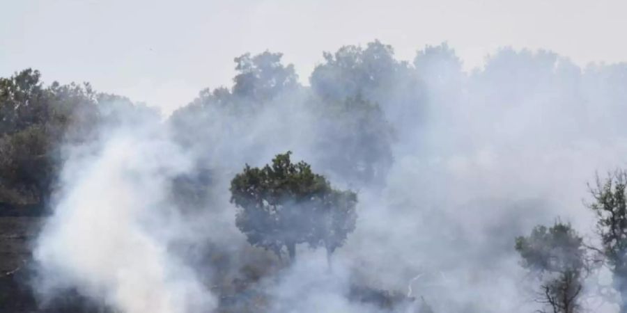 Lodernde Flammen in einem Pinienwald an den Hängen des Ätnas. Foto: Salvatore Cavalli/AP/dpa