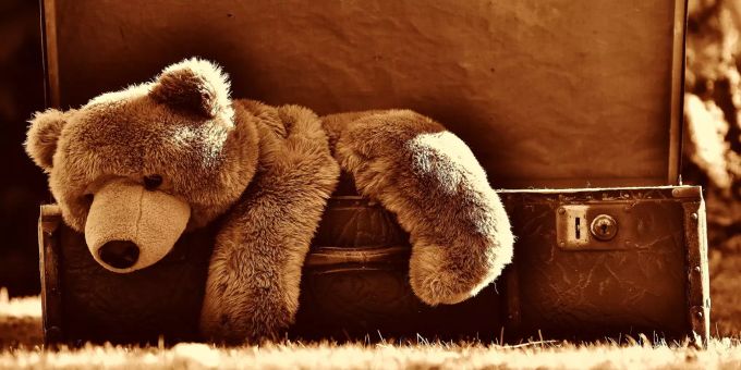 Den Bildern zufolge handelt es sich um verschiedene Plüschtiere. (Symbolbild) Teddy