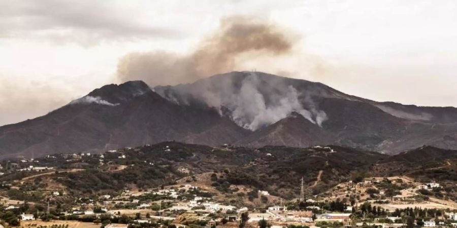 Rauch steigt in der Nähe des Örtchens Jubrique in der Provinz Málaga auf. Foto: Pedro Armestre/AP/dpa