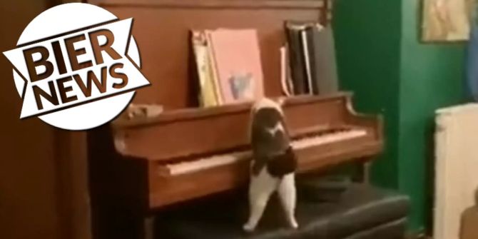 Katze Klavier