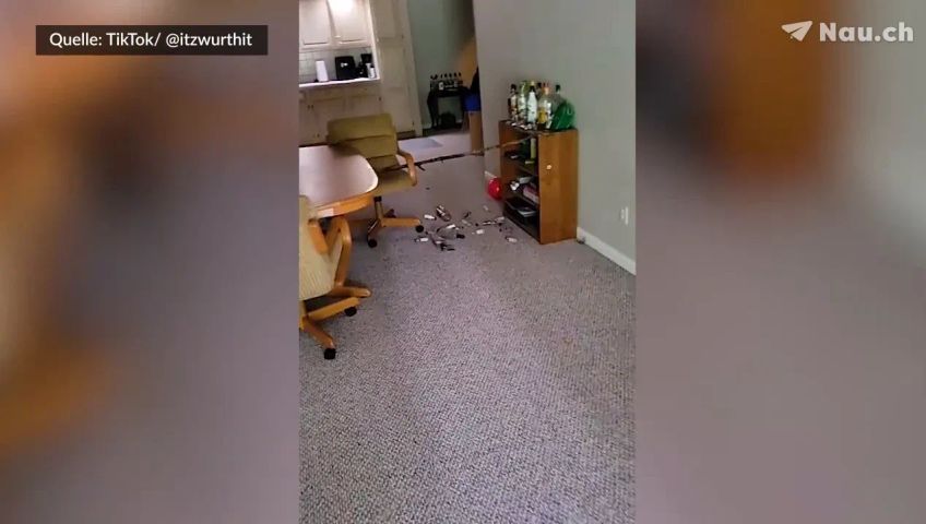 doggostick