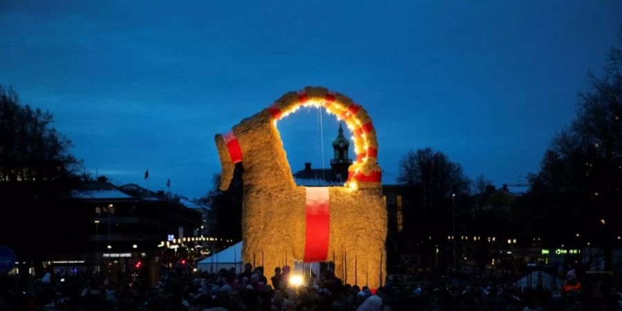 Weihnachts-Stroh-Ziege bei ihrer Einweihung Ende November