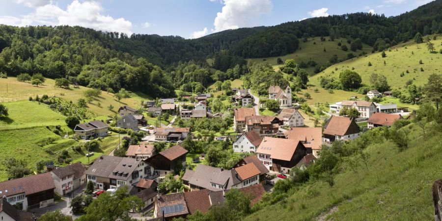 Die Gemeinde Dittingen, gesehen vom Blauenweg oberhalb des Dorfes.