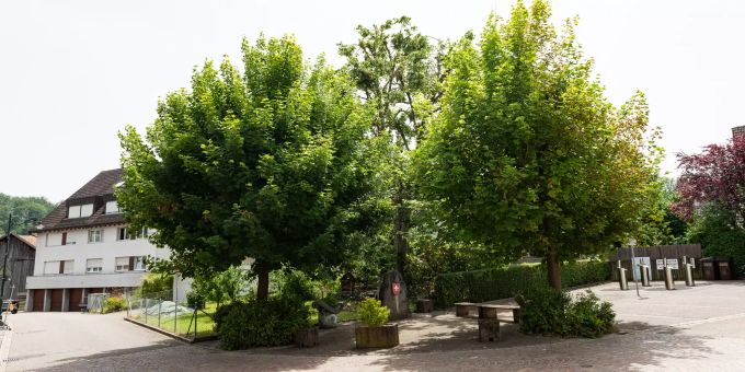 Ruhebank und Entsorgungsplatz auf dem Dorfplatz in Giebenach. Ruhebank und Entsorgungsplatz auf dem Dorfplatz in Giebenach.