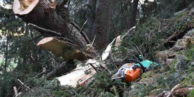 Am Dienstagnachmittag hat sich bei einem Holzschlag in Andeer ein Arbeitsunfall ereignet. Ein Forstarbeiter wurde von einem Baumstamm eingeklemmt und verletzt. andeer gr