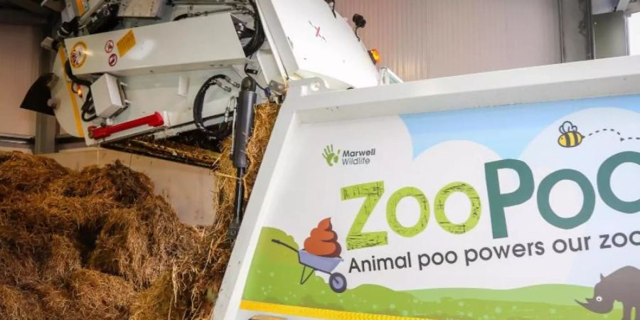 Dung wird entladen: Aus Kot gewinnt ein britischer Zoo künftig zwar kein Gold, aber dafür Energie. Foto: Paul Collins/Marwell Wildlife/PA Media/dpa