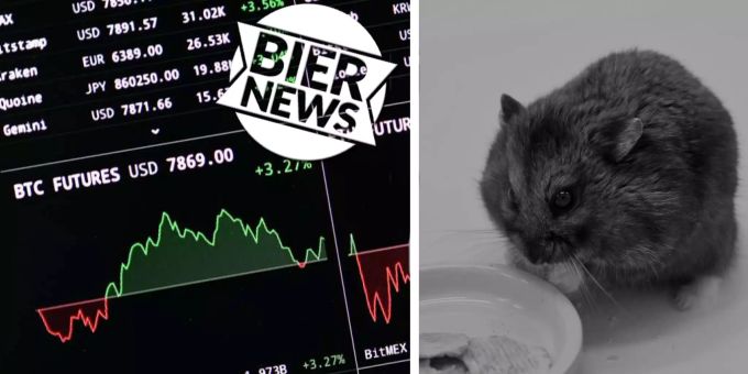 Der deutsche Hamster Mr. Goxx handelte erfolgreich mit Kryptowährungen. gg