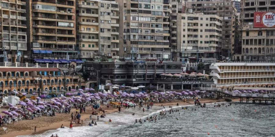 alexandria