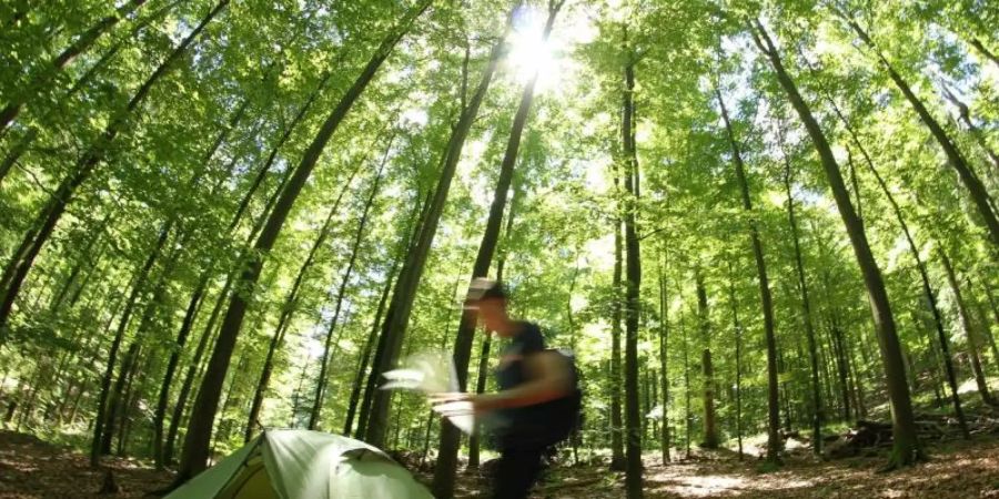 Ein Wanderer hat sein Zelt auf einer Trekking-Tour im Schwarzwald aufgestellt. Foto: Jochen Denker/Naturpark Schwarzwald/dpa