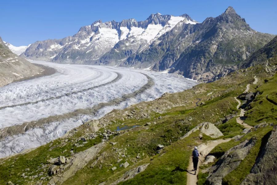 Der Aletschgletscher verschwindet bis 2100 fast vollständig, wenn der Klimawandel ungebremst fortschreitet.