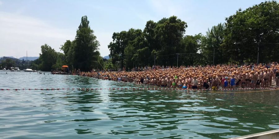 Die Abkühlung wartet auf die Zürichsee-Schwimmer.