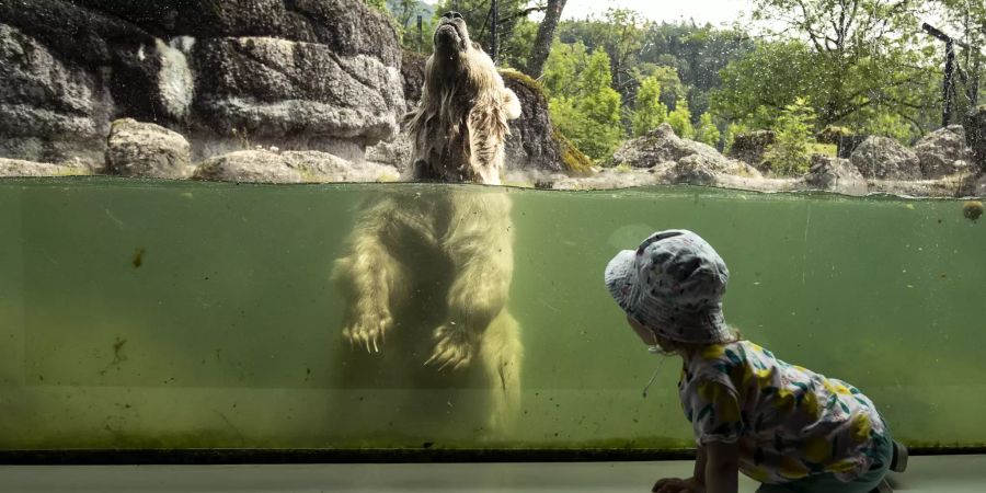 Tierpark Goldau