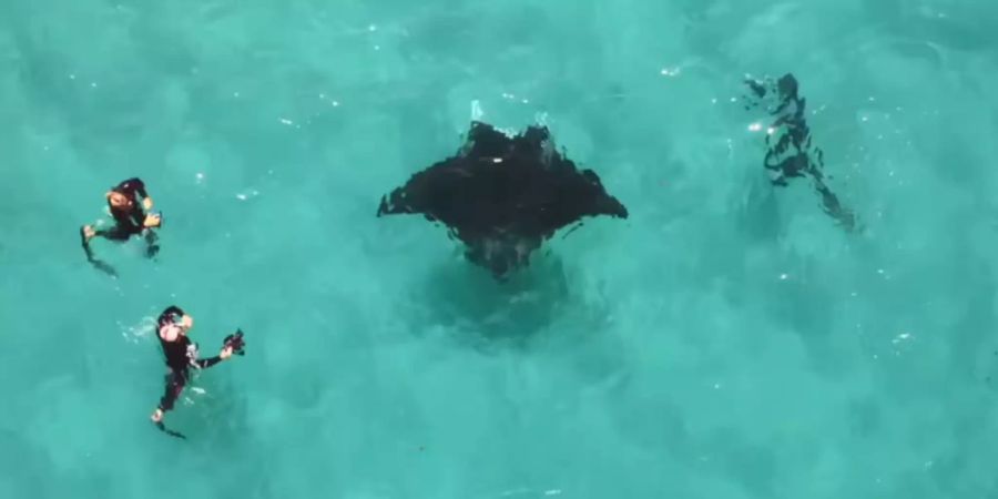 Mantarochen
