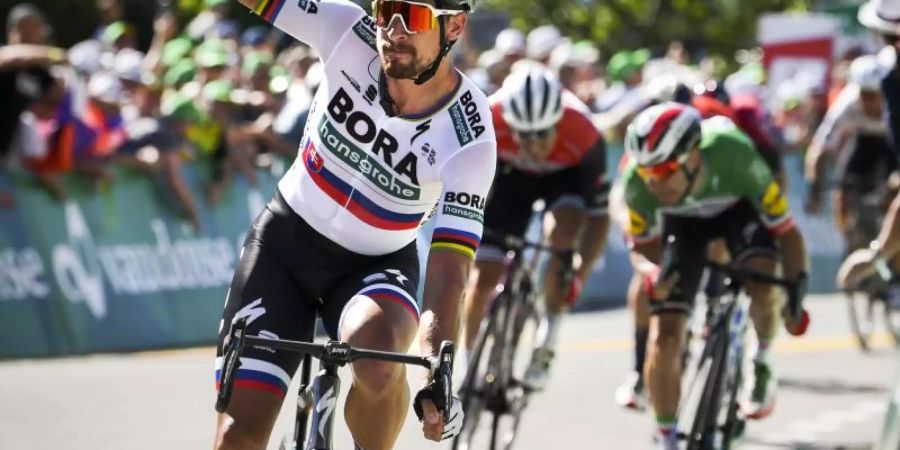 Durfte zum 17. Mal über einen Etappensieg bei der Tour de Suisse jubeln: Peter Sagan. Foto: Gian Ehrenzeller/KEYSTONE