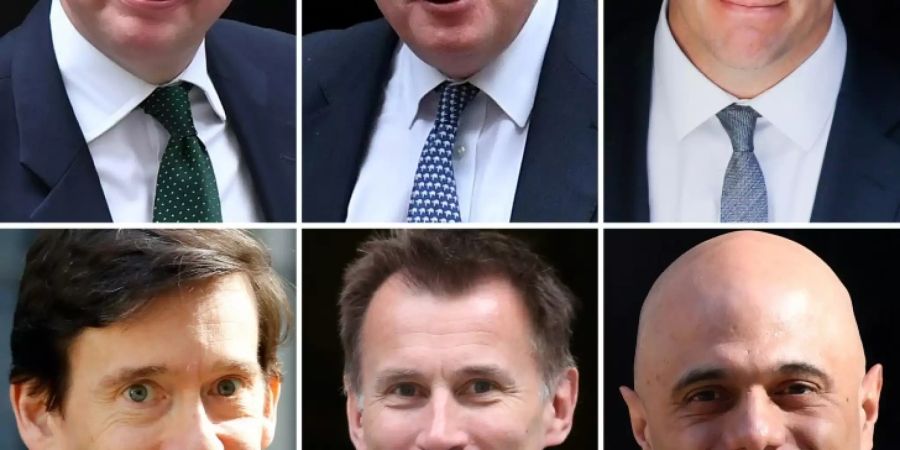 Die verbliebenen Kandidaten für die Tory-Parteispitze