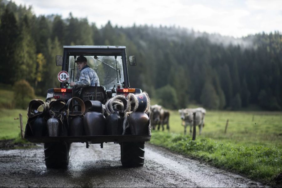 Aber auch krähende Hähne, Gülle-Gestank und von Landwirtschaftsfahrzeugen blockierte Strassen sorgen für Kritik. (Archivbild)