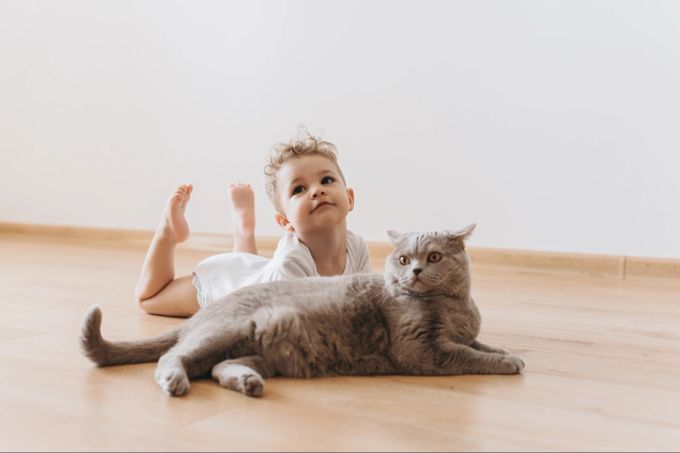 Eine behutsame Annährung hilft für ein langfristig harmonisches Miteinander. Baby, Katze, Beziehung, Miteinander