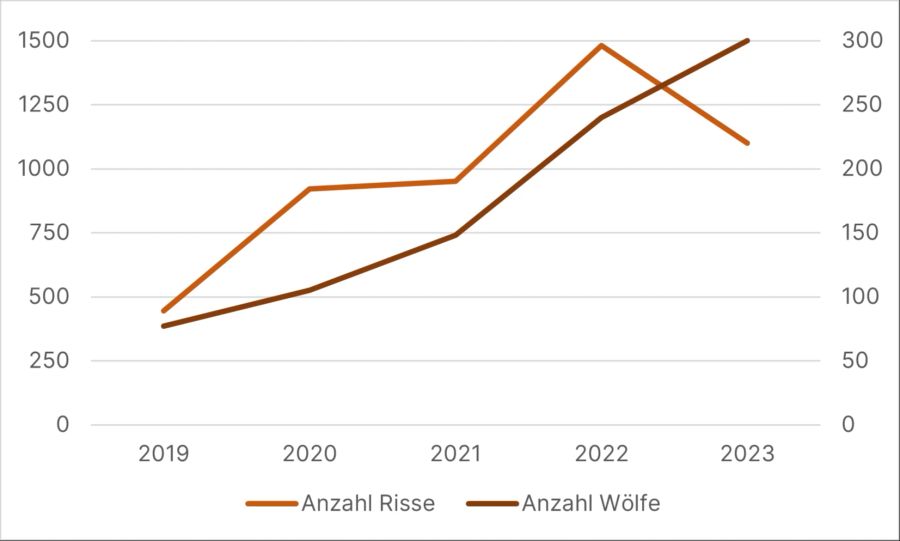 Trotz weiter ansteigender Wolfspopulation (Skala rechts) sind die Wolfsrisse rückläufig. Naturschutzorganisationen führen dies auf die nun greifenden Herdenschutzmassnahmen zurück.