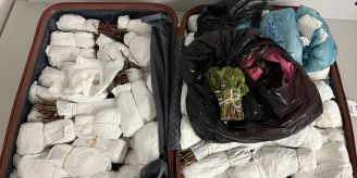 Zürich-Flughafen - Drogenkurier mit 40 Kilo Khat verhaftet