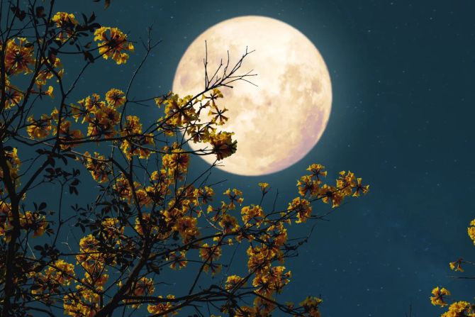 Mond SpaceX