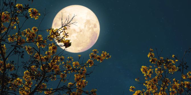 Mond SpaceX