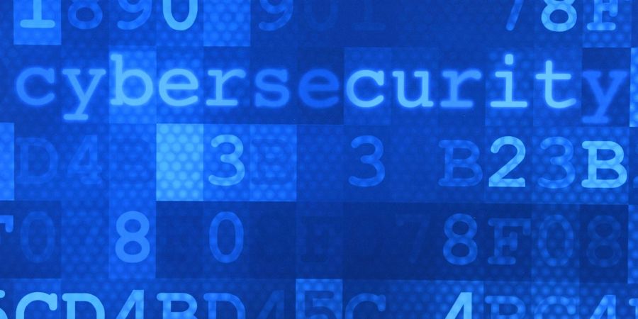 Auf der Plattform seien laut Polizei kriminelle Dienstleistungen, aber auch detaillierte Anleitungen zu schweren Straftaten oder Drogen erhältlich.