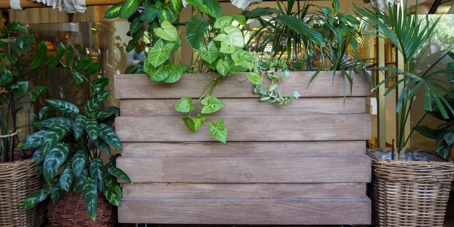 Holzkasten, Blumen, Töpfe, Garten, Terrasse