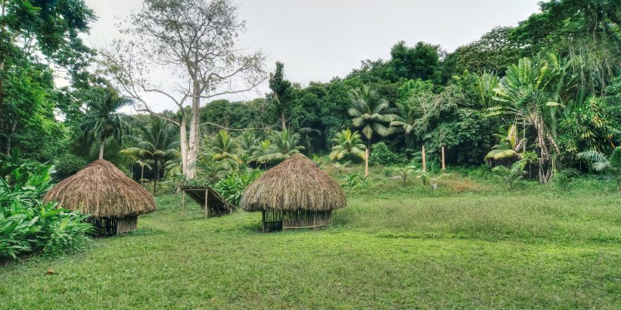 Jamaika: dichte Tropenwälder und einzigartiges Klima.