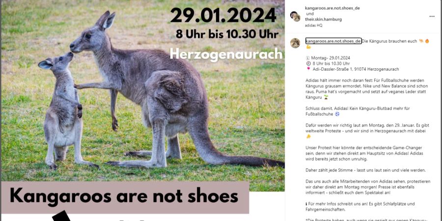 Tierschützer rufen zur Demo gegen Adidas auf, weil das Unternehmen Känguru-Leder für seine Schuhe braucht.