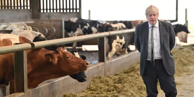 Boris Johnson, Premierminister von Grossbritannien, geht bei seinem Besuch der Moreton Farm in der Nähe von Wrexham durch einen Kuhstall. Boris Johnson