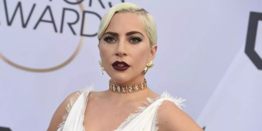 Zwei von Lady Gagas Hunden waren entführt worden. Jetzt sind sie wieder da. Foto: Jordan Strauss/Invision/AP/dpa