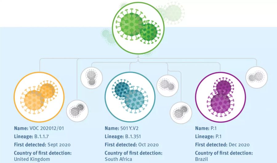 Coronavirus Mutationen Varianten