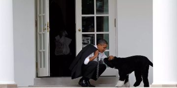 Obamas trauern um Familienhund Bo