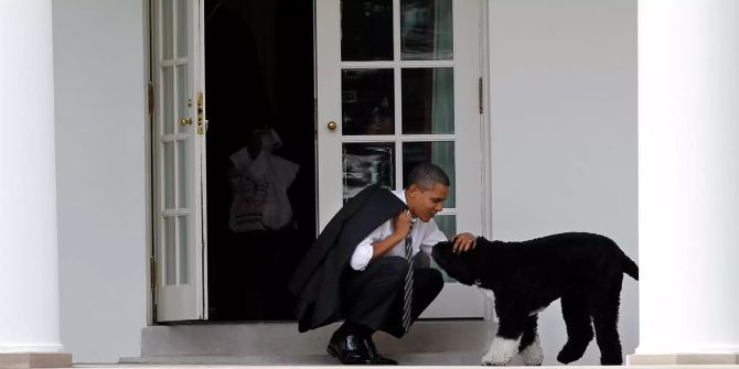 Obamas trauern um Familienhund Bo