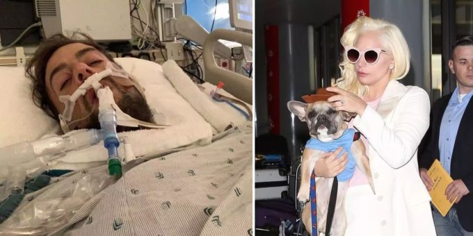 Nach Überfall - Lady Gagas Hundesitter meldet sich aus Spital