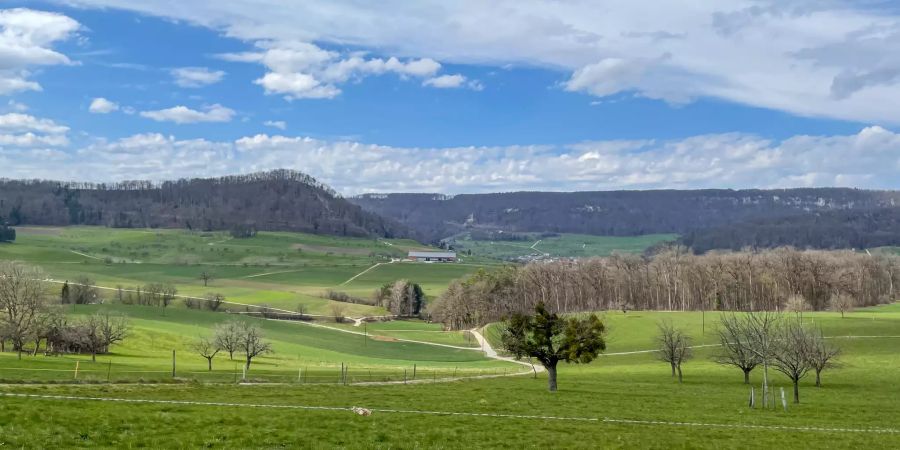 Landschaftsfoto der Gemeinde Lupsingen.