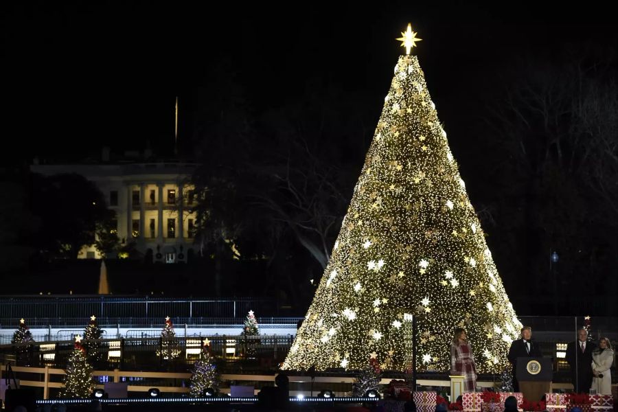 Trump Christmas Tree