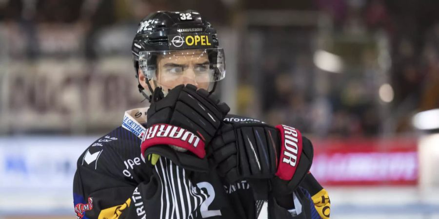 noah schneeberger