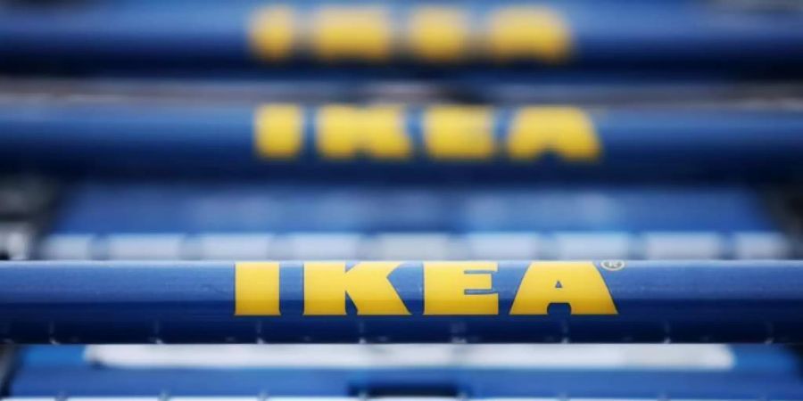 Vor einem Gebäude des schwedischen Möbelhauses Ikea stehen Einkaufswagen mit dem Logo des Unternehmens. Foto: Fredrik von Erichsen/Illustration