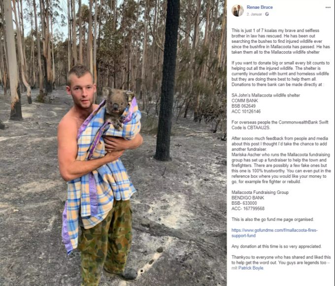 Patrick Boyle aus Mallacoota mit einem geretteten Koala. jäger koala australien