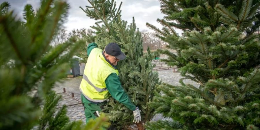 Weihanchtsbaum