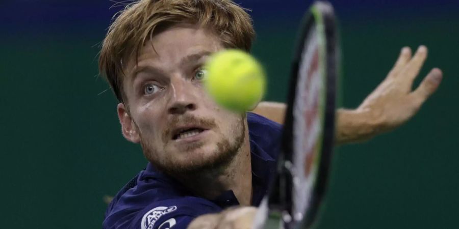federer goffin