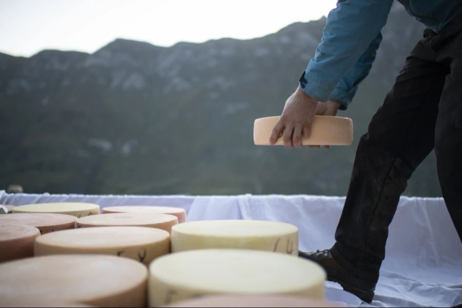 Ausserdem erhält man zwei Mütschli aus der Milch der gemieteten Kuh. (Symbolbild)