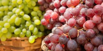 weintrauben
